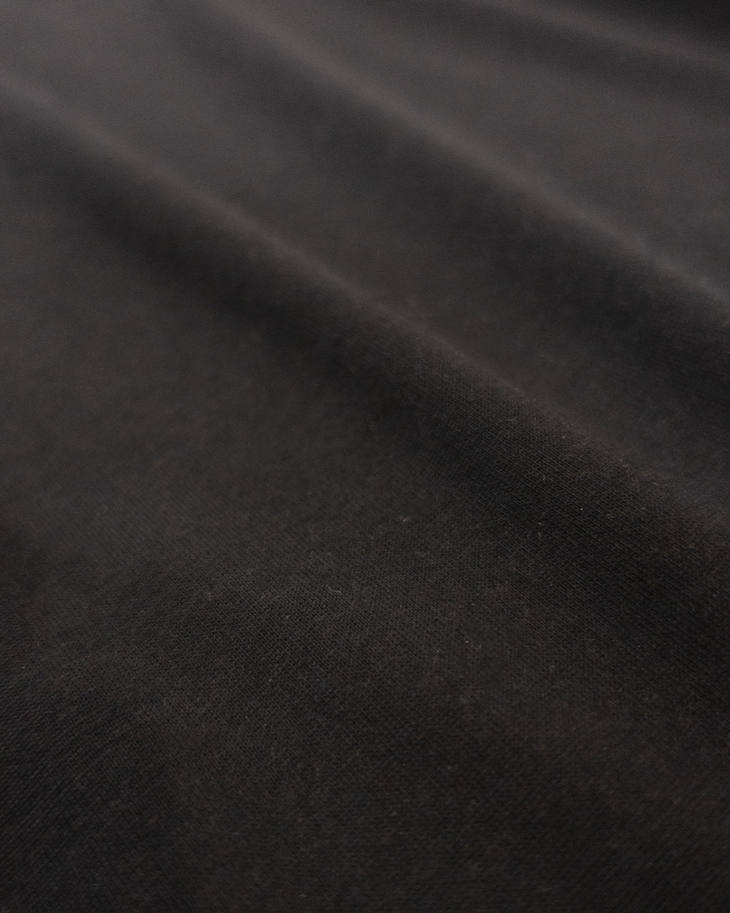Super100s WOOL Plating Jersey S/S Logo TEE <#black>