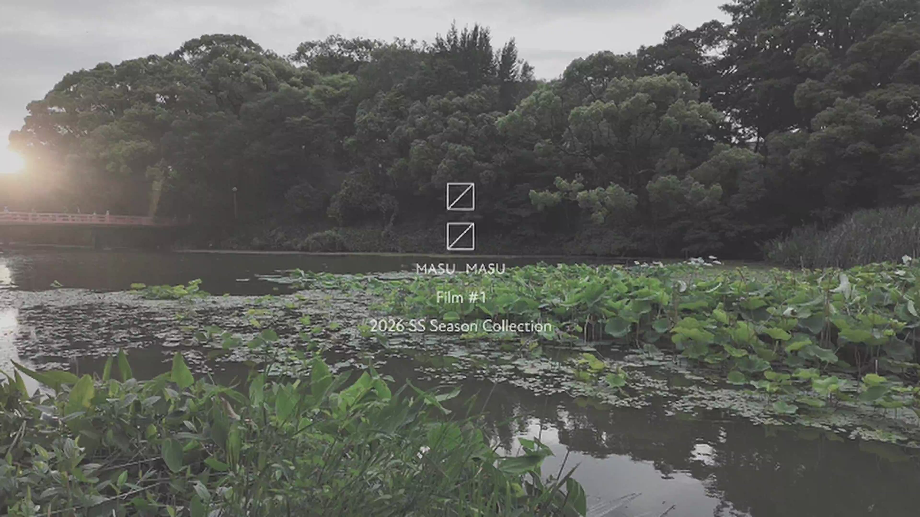 動画を読み込む: 